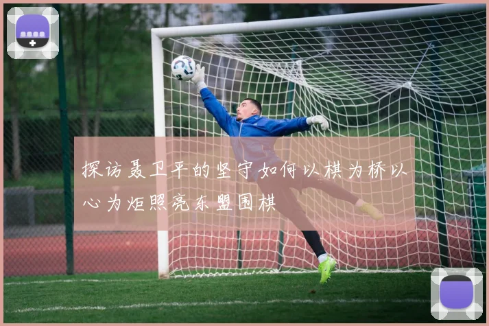 探访聂卫平的坚守如何以棋为桥以心为炬照亮东盟围棋