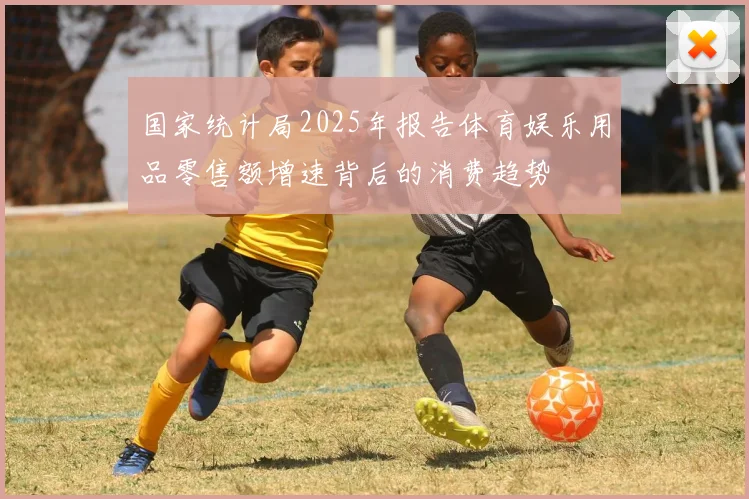 国家统计局2025年报告体育娱乐用品零售额增速背后的消费趋势