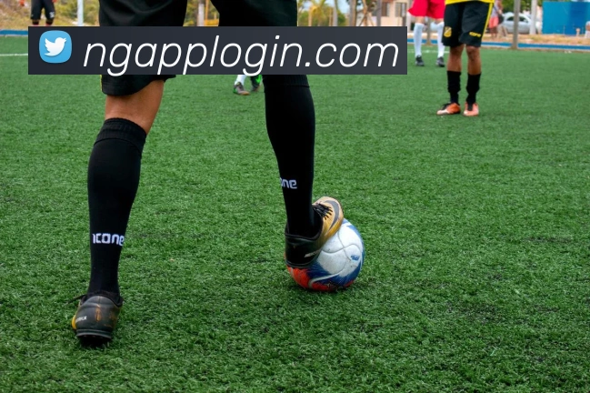 南宫体育服务体系