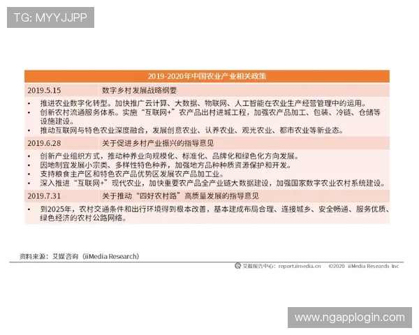 《德甲俱乐部所有权结构与投资人背景分析》