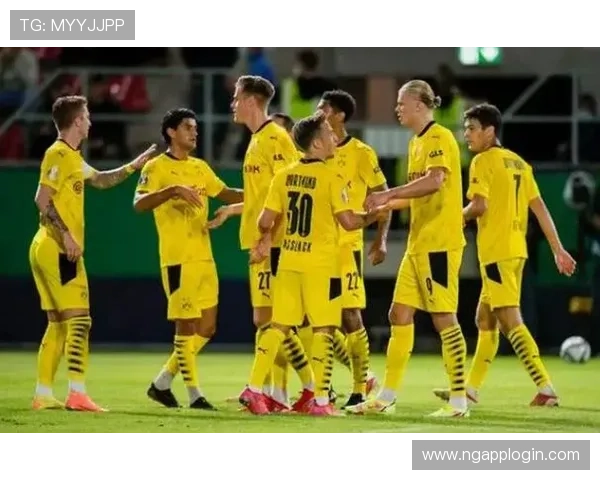 德甲联赛中具体有哪些知名球队详尽介绍